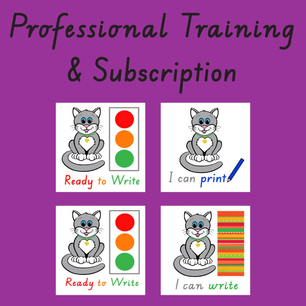 Professional Subscription + Training